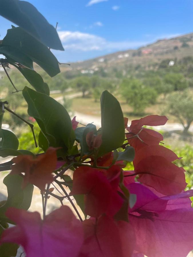 Κτήμα Ειρήνη Apartment Otzias Luaran gambar